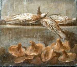 Roman fresco showing wild mushrooms and game birds