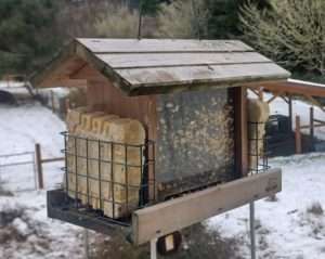 Picture of a wooden bird feeder full of seed and with two suet blocks on the sides for how to feed birds