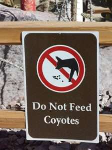 Do Not Feed Coyotes sign on a fence for coyote encounters
