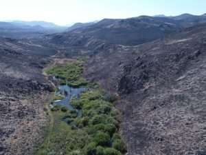 A valley largely scorched black by fire, but with a small green oasis around a stream in the center for Forage safety article