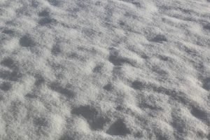 Image of white snow completely blanketing the ground for weird weather article
