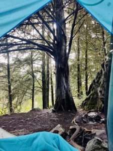 View of a forest from inside the door of a blue camping tent for post on nature's effects on the brain