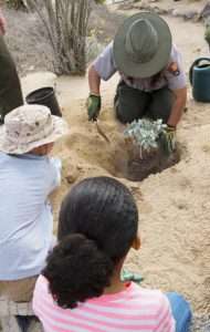 A park ranger shows children how to properly plant a native plant for article on rempving invasive species