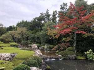 A temple garden in Kyoto for article on how nature makes us feel better