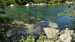 A beautiful lake with worn rocks and plants around the bank for article how nature makes us feel better