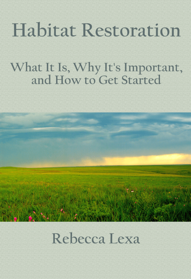 Habitat Restoration What It Is, Why It's Important, and How to Get