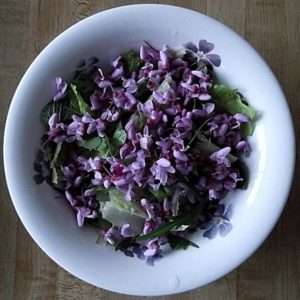 A white ceramic bowl holds a variety of leaves and flowers, to include those of red deadnettle