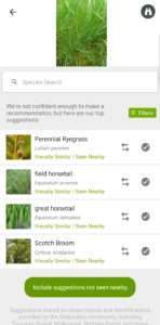 A screen shot showing a picture of a grass like plant, and then four plant suggestions below it, all from different families, for master naturalist article.