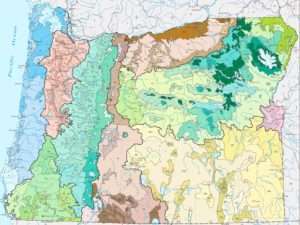 Map showing Level III and IV ecoregions of Oregon, with heavier lines outlining the Level III ecoregions, and thinner ones outlining the Level IV ecoregions, for master naturalist article.