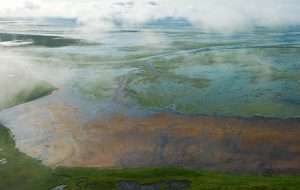 Green eelgrass appears at low tide in the vast wetlands of Izembek Lagoon, at the edge of Izembek Refuge for article on existence value