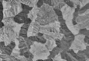 A black and white aerial photo of a series of hills. Most are lighter gray, with all the trees cut down, though some darker gray patches still display trees.