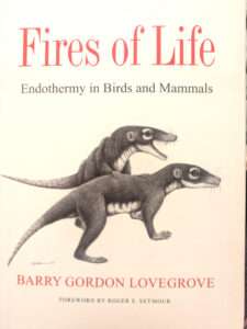 A photo of a white book cover with black and white illustrations of two primitive mammals that have traits of both weasels and rodents. In red text is the title Fires of Life, and in smaller black text Endothermy in Birds and Mammals, Below that is the author's name in red, Barry Gordon Lovegrove. For article on exaptation.