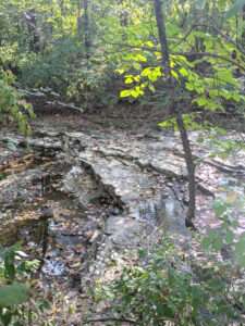 A photo of a creek trickling over rough layers of brown and gray sandstone, surrounded by an array of trees and shrubs with green leaves.